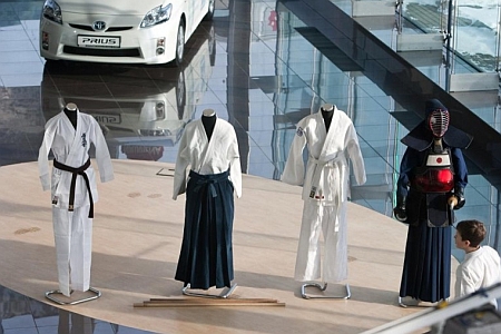 toyota_karate1